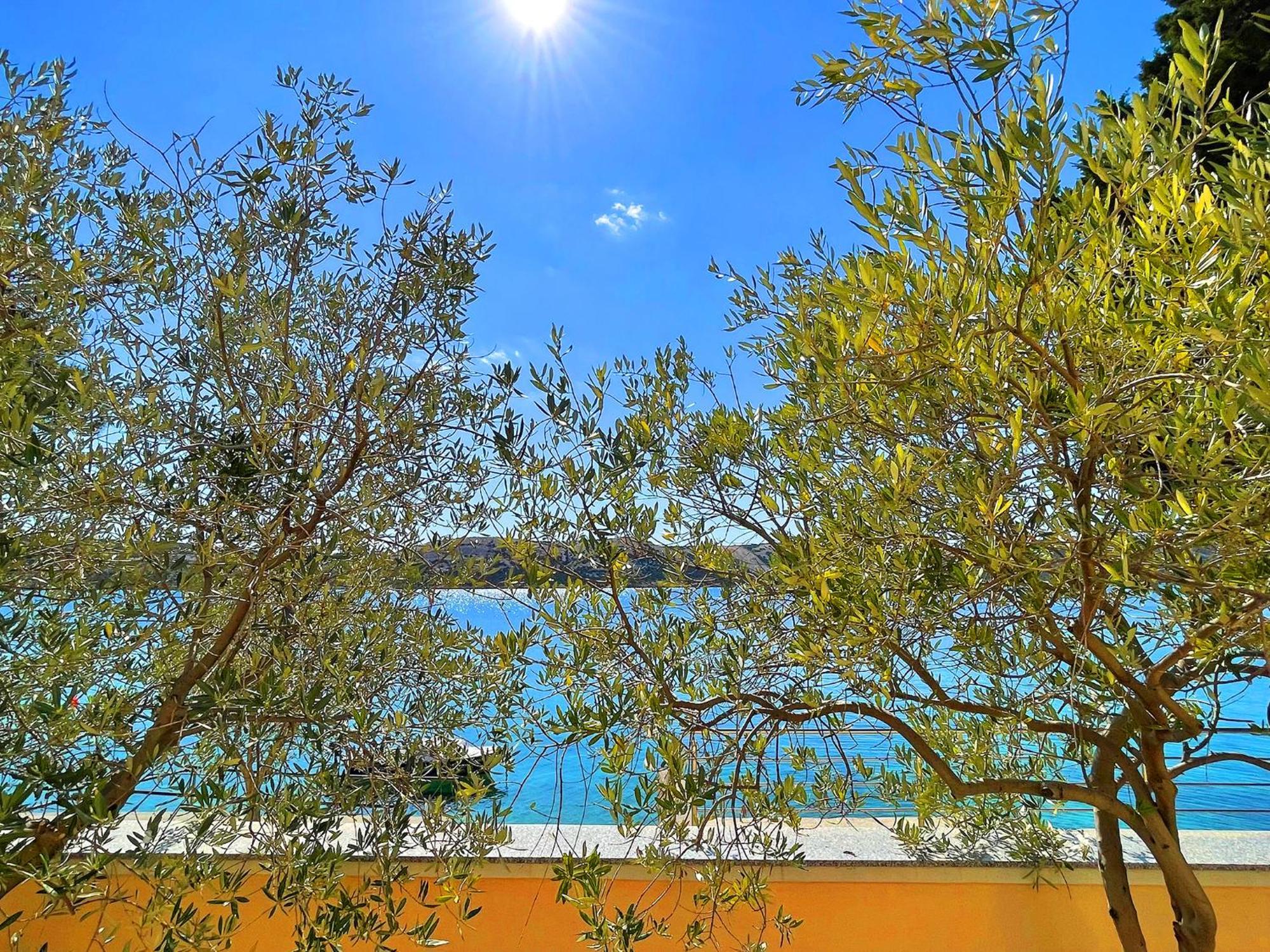 Villa Olivija-Direkt Am Strand! Stara Novalja Eksteriør bilde